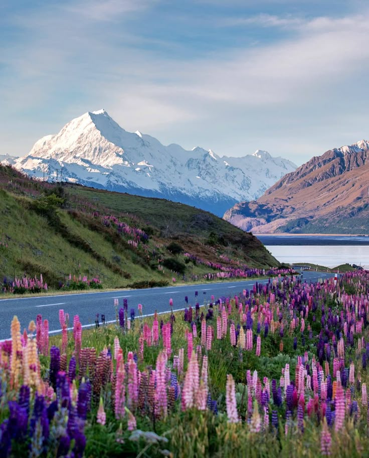 NEW ZEALAND & BEYOND – 8 DAYS EXPLORING THE UNREAL