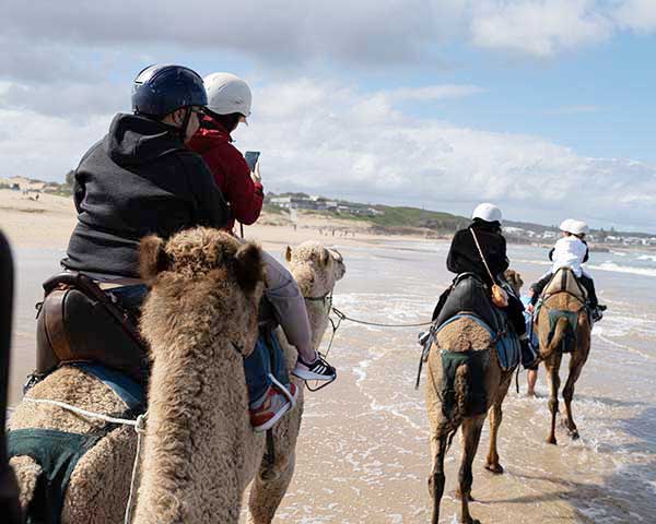 PREMIUM PACKAGE - PORT STEPHENS & HUNTER VALLEY