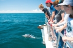 PORT STEPHENS EXPERIENCE TOUR – DOLPHINS, 4WD SAND DUNES & MORE!