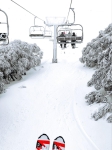 1 DAY SYDNEY SNOW TOUR 2025 |Thredbo & Pershier