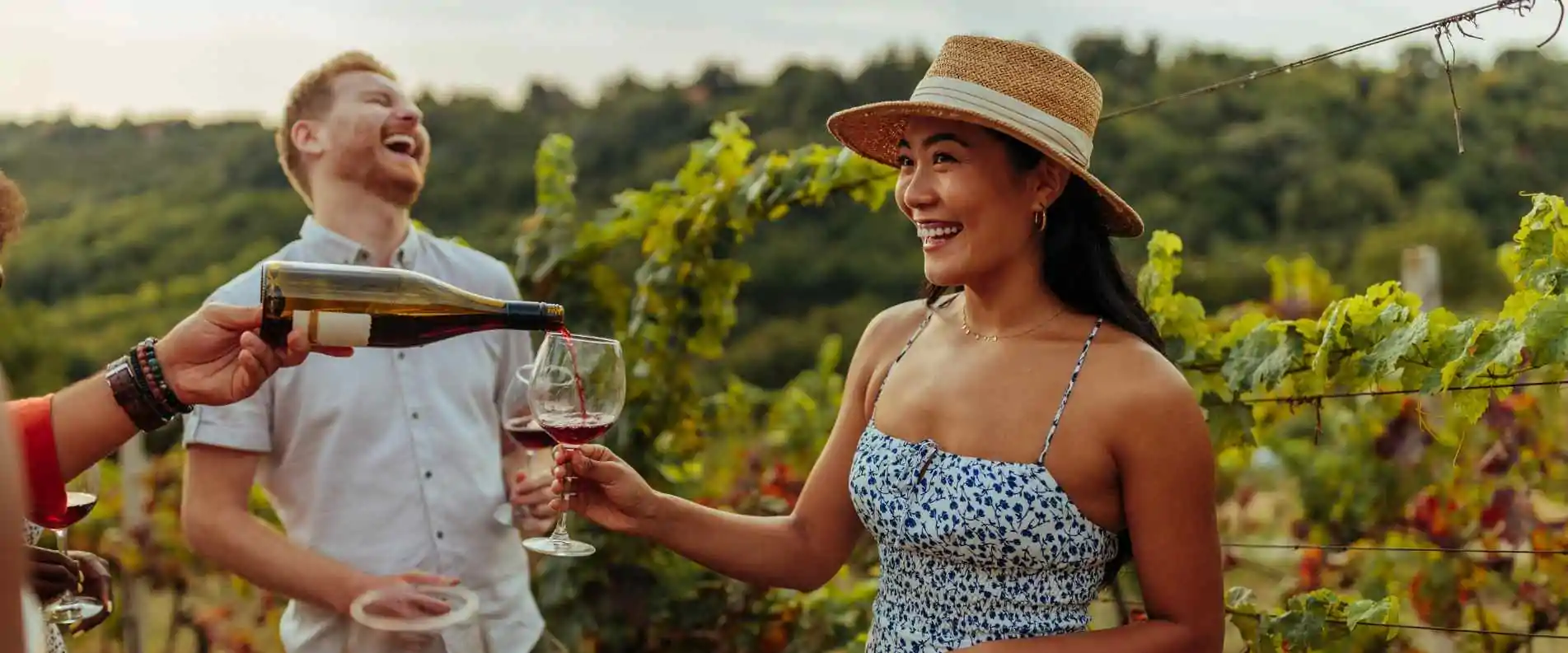 HUNTER VALLEY DAY TOUR EXPERIENCE | WINE, CHOCOLATE  & CHEESE TASTING