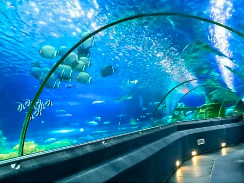 Cutural History Tour