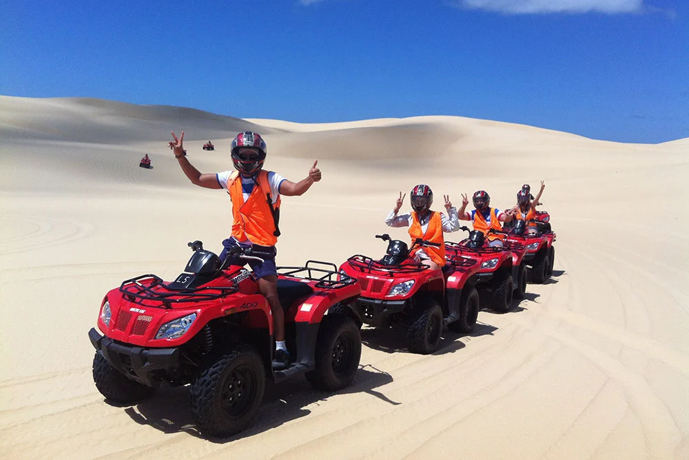 PORT STEPHENS EXPERIENCE TOUR – DOLPHINS, 4WD SAND DUNES & MORE!